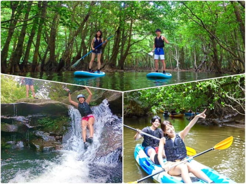 Iriomote Island: SUP or Canoeing and Canyoning Tour - Who Will Love This Tour?
