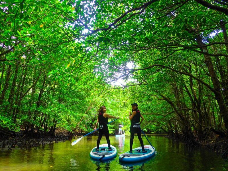 Iriomote Island: SUP or Canoeing and Canyoning Tour - Final Thoughts: The Authentic Edge of Iriomote