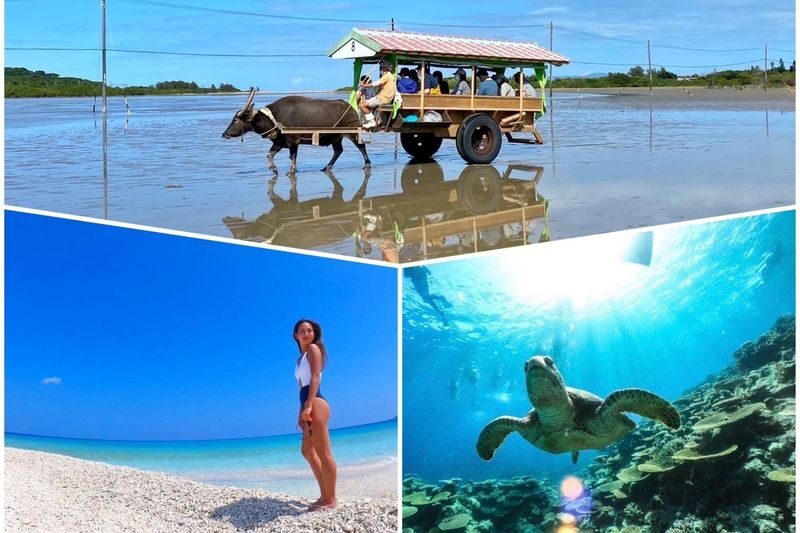 Iriomote Island: Yubu Island Sightseeing & Customizable 1-Day Experience (SUP or Canoe/Snorkeling/Canyoning) - Pick the pairing that fits your day