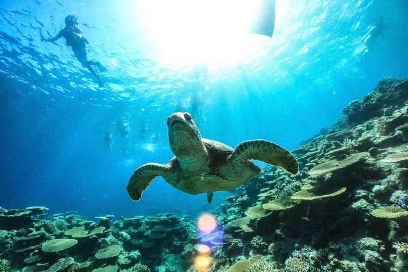 Iriomote Island: Yubu Island Sightseeing & Customizable 1-Day Experience (SUP or Canoe/Snorkeling/Canyoning) - A shower, then a self-arranged lunch