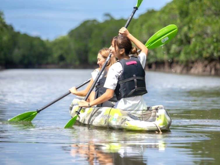Iriomote Island: Yubu Island Sightseeing & Customizable 1-Day Experience (SUP or Canoe/Snorkeling/Canyoning) - Who will get the most from this day