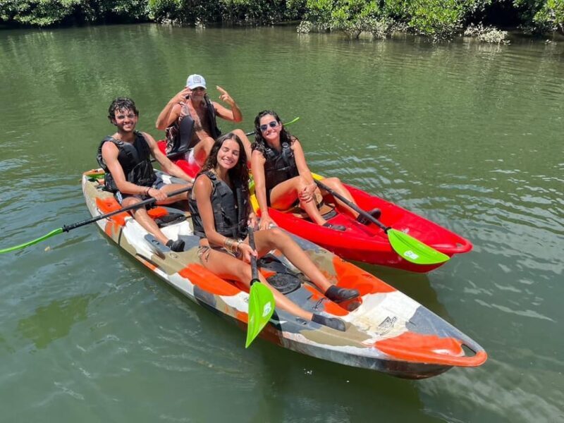 Iriomote: Mangrove SUP or Canoe and Yubujima sightseeing - The Experience and Guides