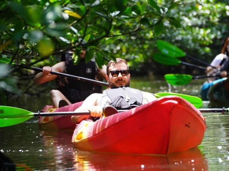 Iriomote: Mangrove SUP or Canoe and Yubujima sightseeing - Who Should Consider This Tour?