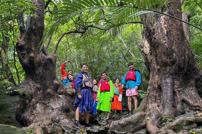 Iriomotes Adventure: Pinaisara Falls Canoe and Trekking Tour - Why This Tour Works Well