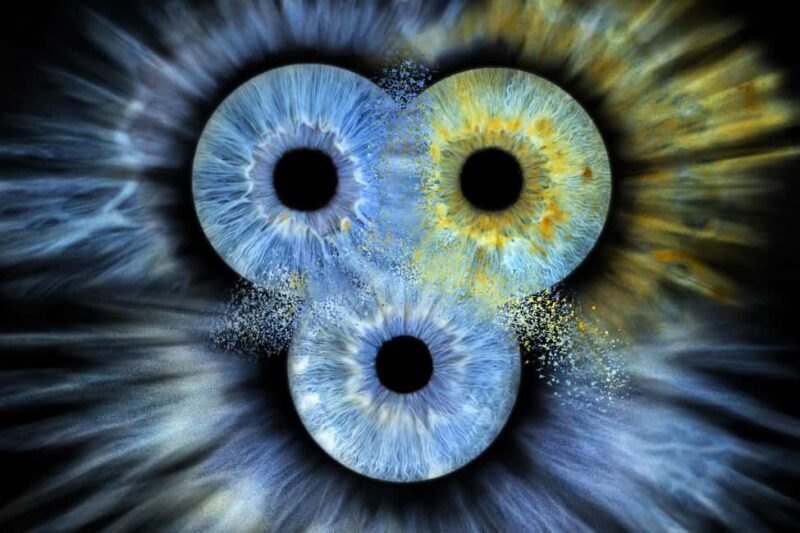 IRIS Photography (macro photo of your eye) - The Experience Through the Lens of Reviews