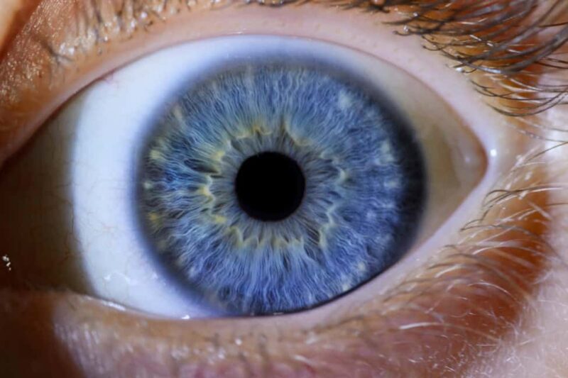 IRIS Photography (macro photo of your eye) - FAQ - Your Questions about IRIS Photography in Split