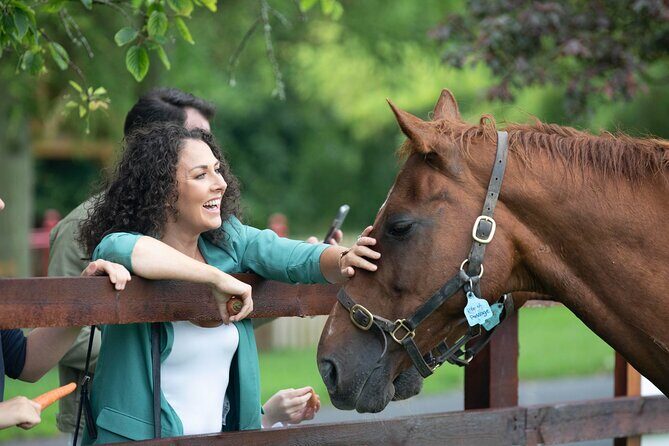 Irish National Stud & Gardens Skip the line Entrance - The Sum Up: Who Will Love the Irish National Stud & Gardens?