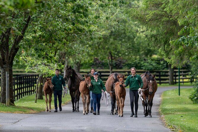 Irish National Stud & Gardens Skip the line Entrance - Frequently Asked Questions
