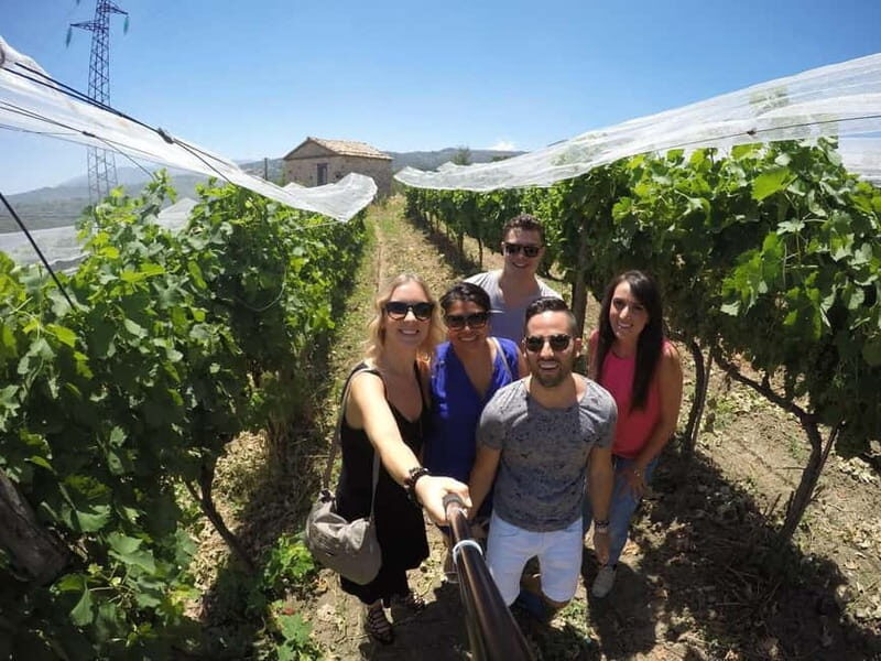 Irpinia Wine Tasting Experience - A Deeper Look: What to Expect from the Irpinia Wine Tasting Experience