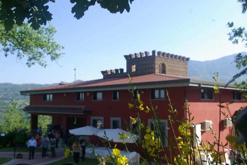 Irpinia Wine Tasting Experience - The Sum Up: Who Is This Tour Best For?
