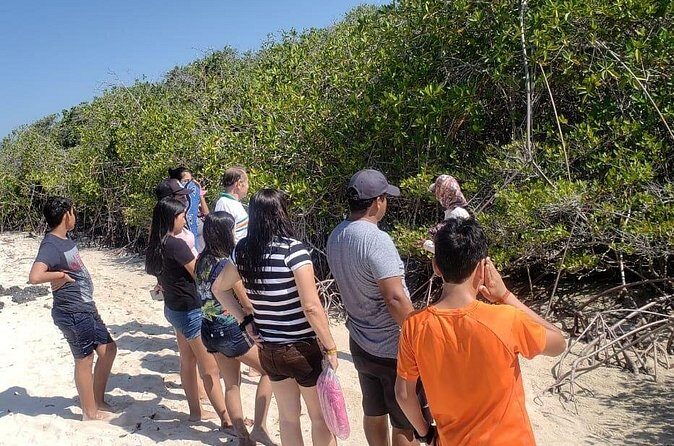 Isabela full-day from Santa Cruz with Tintoreras & Flamingos - FAQs