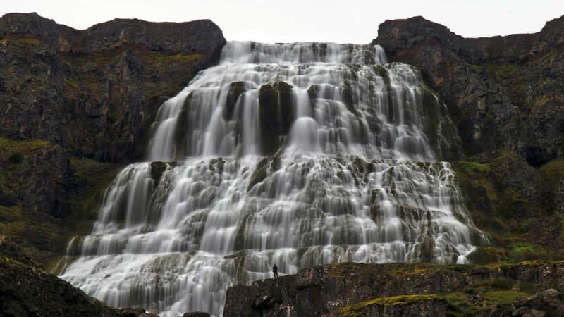 Isafjordur: Dynjandi Waterfall Guided Tour - Who Should Book This Tour?
