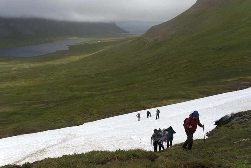 Ísafjörður: Hornstrandir Guided Hike Aðalvík to Hesteyri - Final Thoughts: Is This Tour for You?