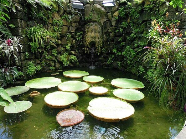 Ischia and La Mortella Gardens - An In-Depth Look at the Tour