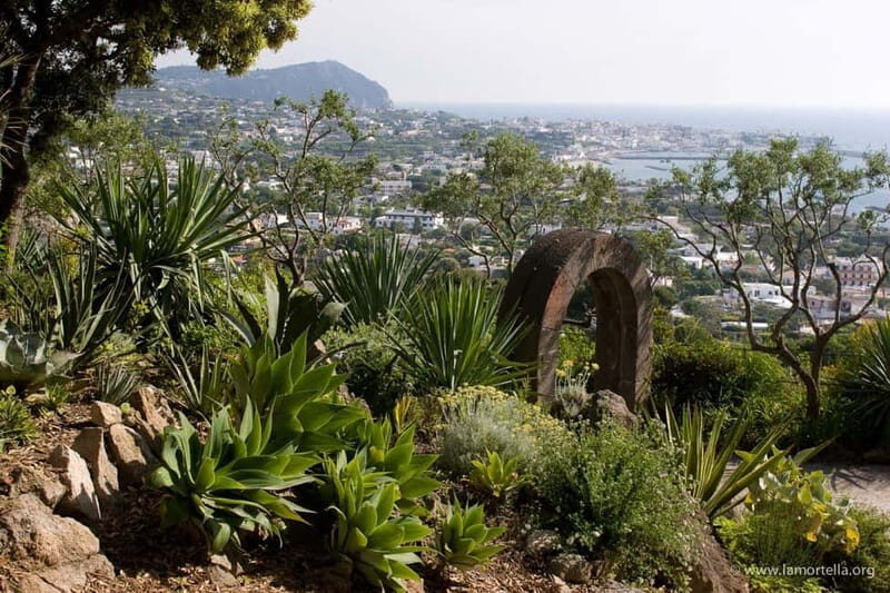 Ischia: La Mortella Gardens Trip with Optional Lunch - Who Should Consider This Tour?