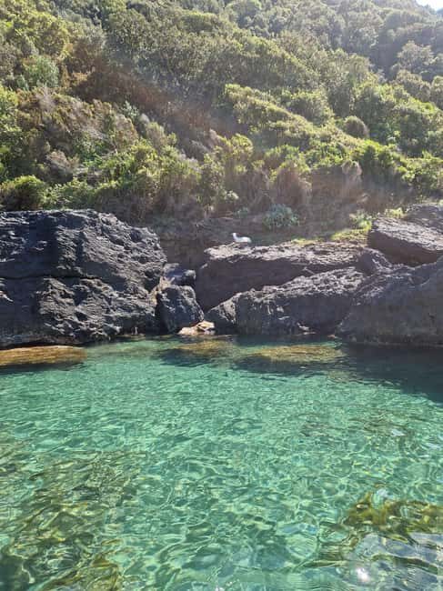 Ischia: Private SUP Lesson and Tour of the Forio Coast - The Itinerary and Experience Breakdown