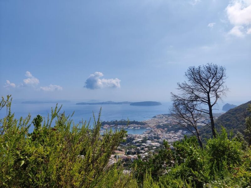 Ischia: Volcano hike - The Hike Begins in the Forest