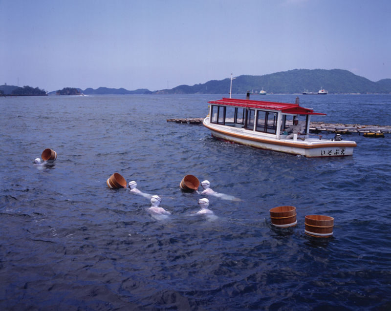 Ise Grand Shrine & Pearl Island Private Guided Tour - Who should book this day out