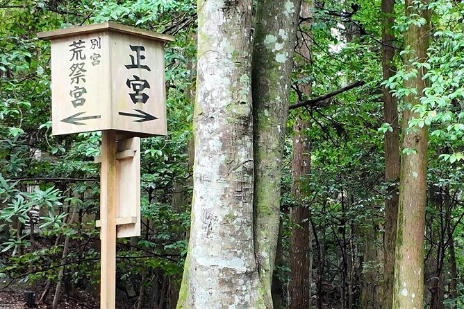 Ise Jingu Shrine Pilgrimage and Meoto Iwa Bus Tour - In-Depth Review of the Ise Jingu Shrine Pilgrimage and Meoto Iwa Bus Tour