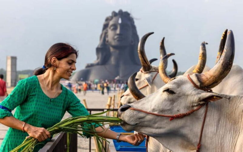 Isha Yoga Center from Coimbatore - Day Trip with Lunch - An In-Depth Look at Your Day at Isha Yoga Center