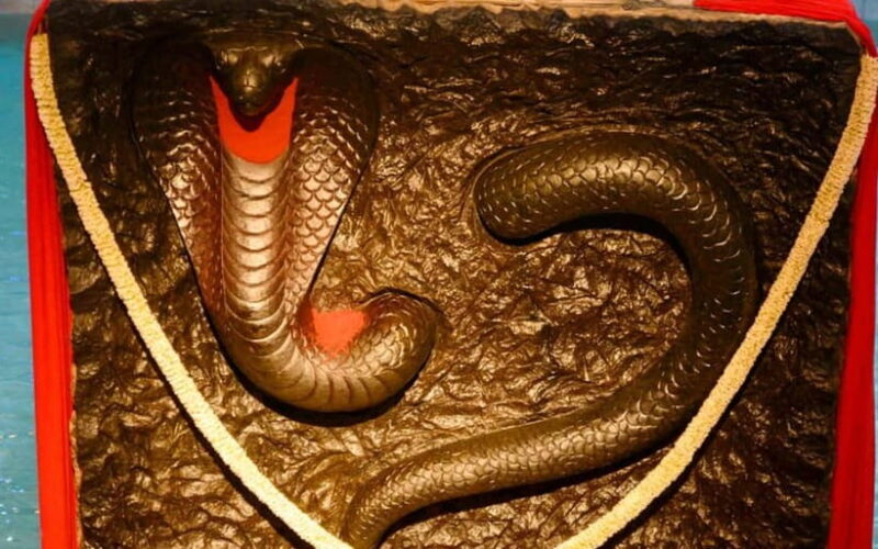 Isha Yoga Center from Coimbatore - Day Trip with Lunch - Final Words