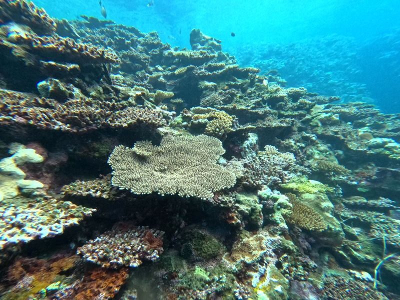 Ishigaki Island/1-day Kabira Bay SUP/Canoe & Blue Cave Snorkeling Experience (Okinawa) - Getting ready for the day