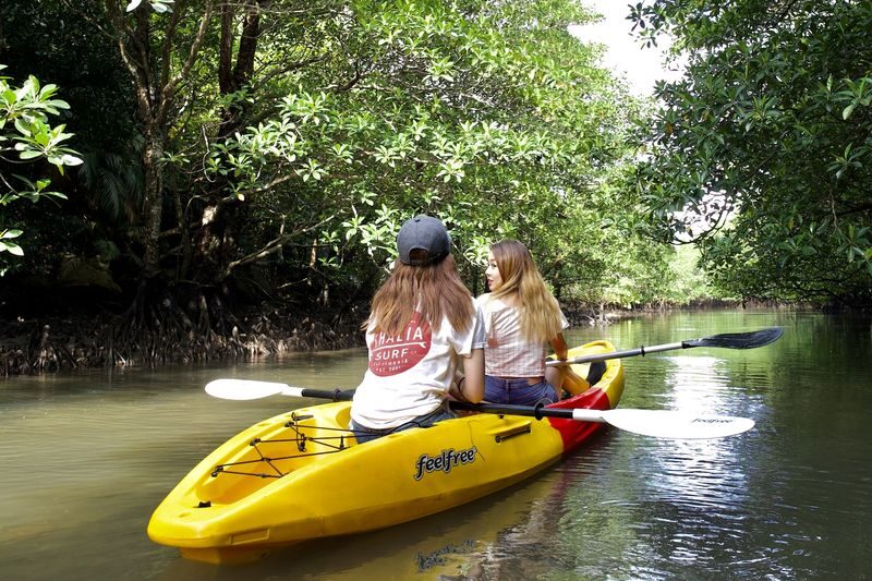 Ishigaki Island: 1-Day Tour Mangrove SUP & Canoe & Blue Cave Snorkeling - What to know before you book