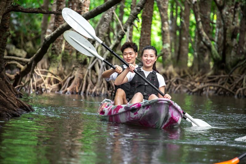Ishigaki Island: 1-Day Tour Mangrove SUP & Canoe & Blue Cave Snorkeling - A full day between river and reef
