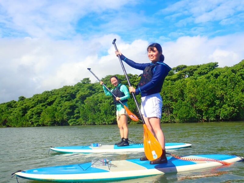 Ishigaki Island: 2-Hour Miyara River SUP or Canoeing Tour - The Guides: Knowledgeable and Friendly