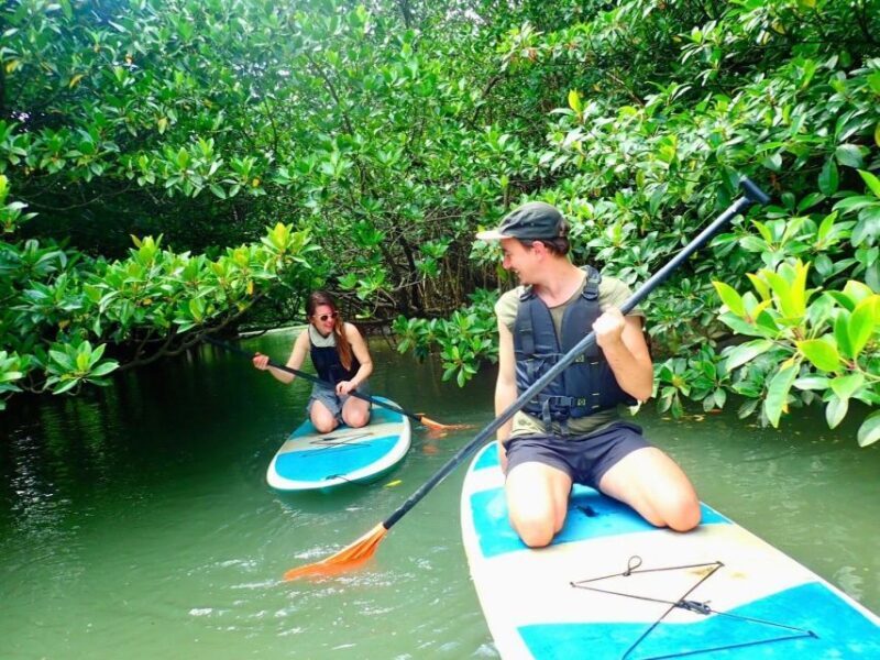Ishigaki Island: 2-Hour Miyara River SUP or Canoeing Tour - Value for Money and Overall Experience