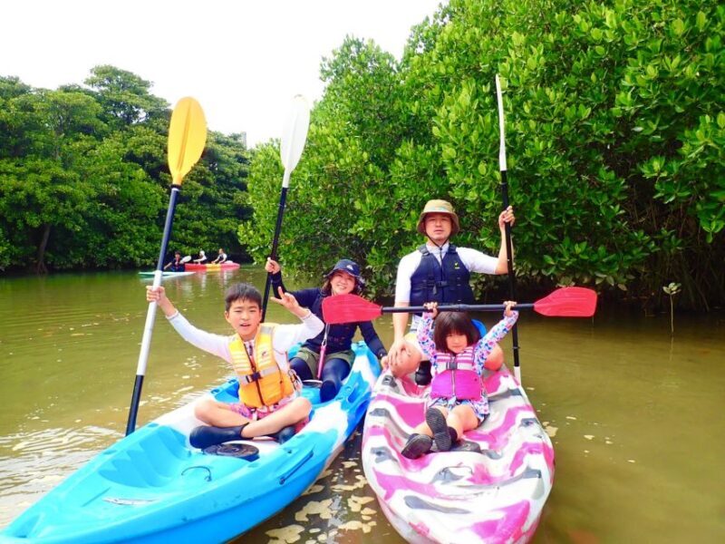 Ishigaki Island: 2-Hour Miyara River SUP or Canoeing Tour - Who Should Consider This Tour?