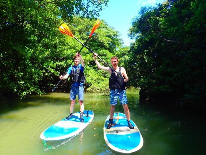 Ishigaki Island: 2-Hour Miyara River SUP or Canoeing Tour - FAQs