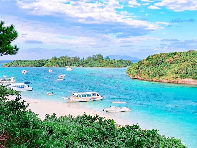 Ishigaki Island Day Tour (including admission, free for ages 0-2) - The useful details at a glance