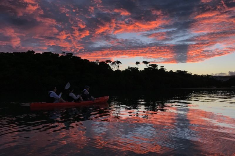 Ishigaki Island: Early Morning - Sunrise SUP/Canoe Tour with Options - What the guide adds