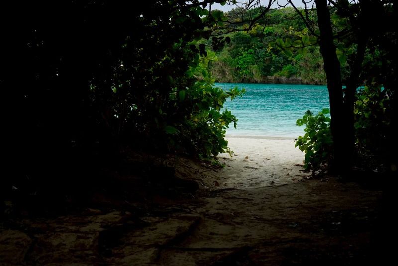 Ishigaki Island Guided Sightseeing Photo Tour: Visiting Popular Spots like Kabira Bay with Photo Data Included - Kabira Bay: a view from land and water