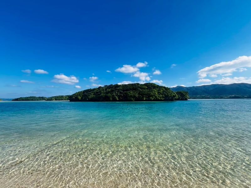 Ishigaki Island Guided Sightseeing Photo Tour: Visiting Popular Spots like Kabira Bay with Photo Data Included - Should you book the Ishigaki photo tour?