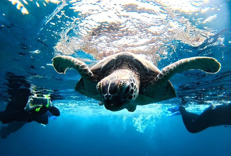 Ishigaki Island/Half-Day: Blue Cave Exploration & Snorkeling (Okinawa) - The Blue Cave is the draw, but conditions decide