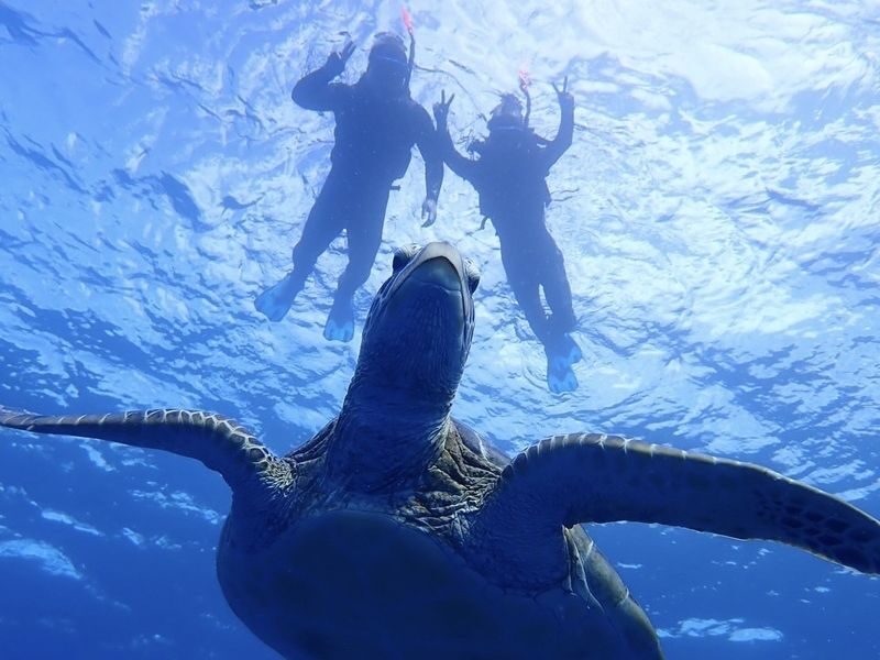 Ishigaki Island/Half-Day: Blue Cave Exploration & Snorkeling (Okinawa) - What the price includes, and what it does not