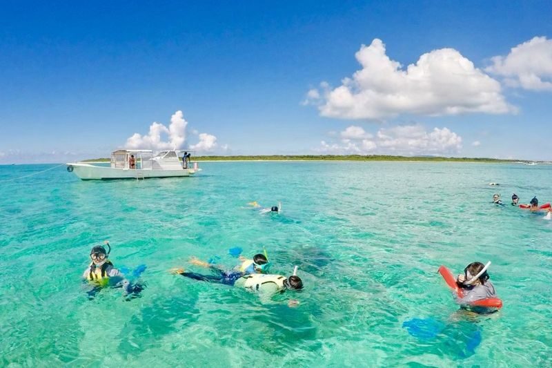 Ishigaki Island Half-Day Sea Turtle Snorkeling / Experience Diving & Snorkeling Double Experience - What the price covers