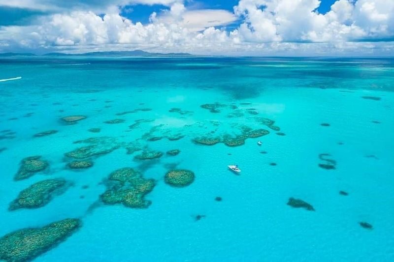 Ishigaki Island Half-Day Sea Turtle Snorkeling / Experience Diving & Snorkeling Double Experience - Pack for a wet afternoon