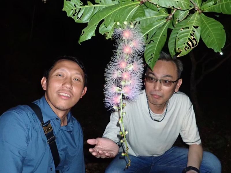 Ishigaki Island Night Barringtonia racemosa Viewing Tour - The flower, the stars, and the wildlife