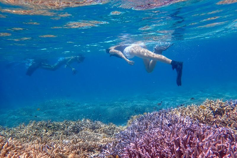 Ishigaki Island: "Phantom Island" Hamajima Landing & Boat Snorkeling (Half-Day Tour) - Weather changes are part of the deal