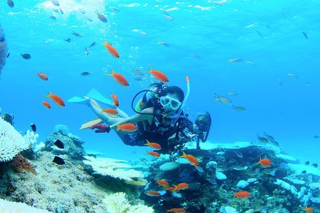 Ishigaki Island Phantom Island Landing & Snorkeling/ 체험 Diving - Beginner-friendly, with firm participation rules