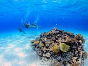 Ishigaki Island Phantom Island Landing & Snorkeling/ 체험 Diving - Meeting up, getting ready, and dealing with weather