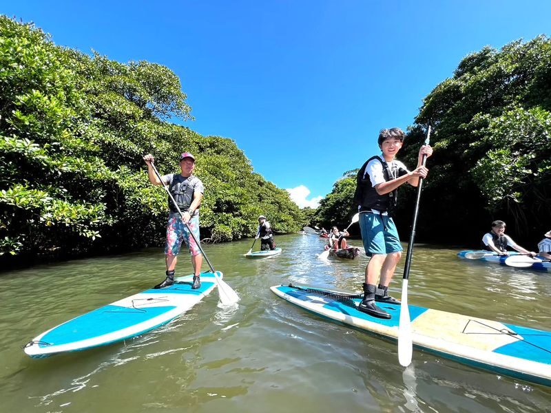 Ishigaki Island: "Phantom Island" Landing & Snorkeling & Mangrove SUP or Canoe Experience (Okinawa) - Should You Book This Ishigaki Tour?