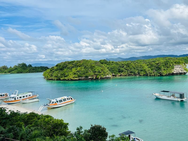 Ishigaki Island Private Customizable One Day Charter Tour - At a glance