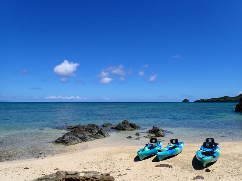 Ishigaki Island/Private Kayak Tour: Beautiful Ocean Kayak or Mangrove Kayak (Tour Photos Included/Free Transportation) - Why the guide matters