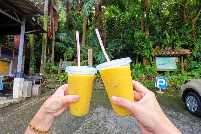 Ishigaki Island Private Tour with Local guide in English - Why This Tour Makes Sense for Travelers