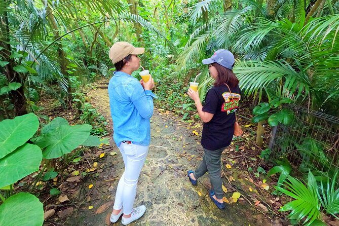 Ishigaki Island Private Tour with Local guide in English - Final Thoughts