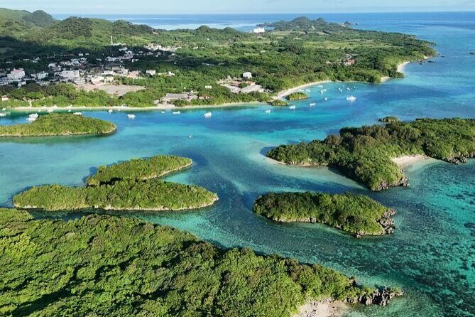 Ishigaki Island Shore Excursion, Trails and Scenic Spots - Comfort and Convenience